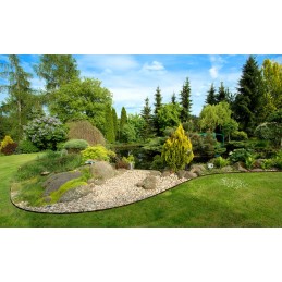 Sodo apvadas EKOBORDER 1m/4,5cm STRONG GROVE