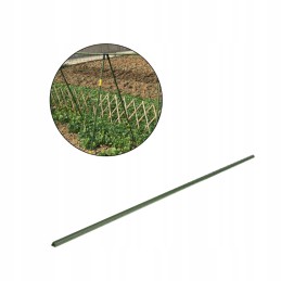 PLANT STICK COATED 11/120