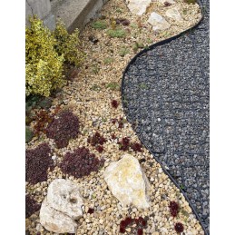 Vejos apvado bortelis EasyBord 45mm vejos žievė 3 inkarai/m komplektas