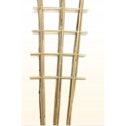 2 eilių bambuko atramos KOPĖČIAS 60cm