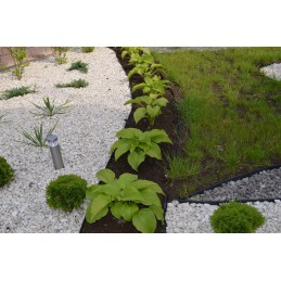 Garden lawn edge plastic border 45mm 1m