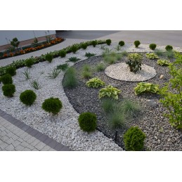 Garden lawn edge plastic border 45mm 1m