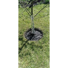 Vejos apvadas, kraštelis 45mm, palisadas + 5 inkarai