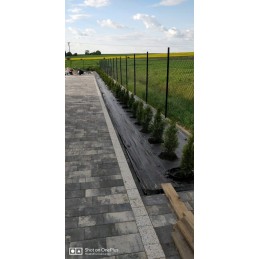 Vejos apvadas, kraštelis 45mm, palisadas + 5 inkarai