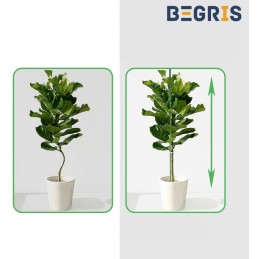 ☘️Pomidorų sodinukai su stiebu 150cm 1 vnt PLIENINIAI pomidorų stulpeliai☘️