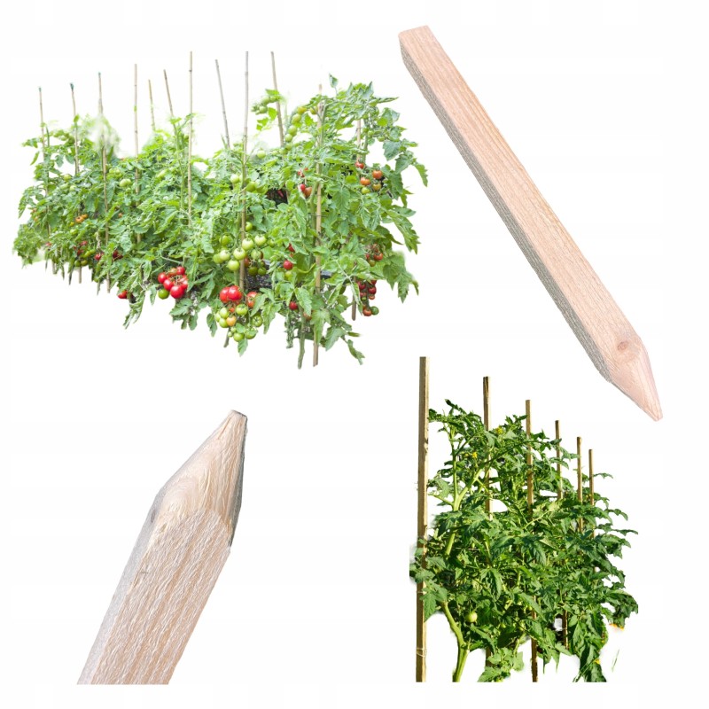 POLE SPRENDIMAS POMIDORIams DARŽOVĖMS EKO pušis 100cm