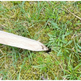 POLE SPRENDIMAS POMIDORIams DARŽOVĖMS EKO pušis 100cm