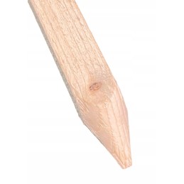 POLE SPRENDIMAS POMIDORIams DARŽOVĖMS EKO pušis 100cm