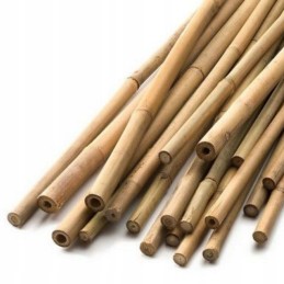 BioBamboo Stick bambuko lazdelė 40cm 6-8mm bambuko