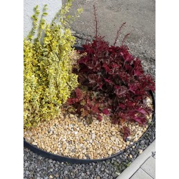 HIT Bordo briauna 45mm 3 inkarai/m vejos žievė