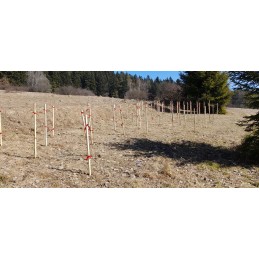 Stulpelis medžiams, pomidorams ir kitoms daržovėms