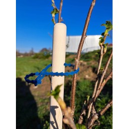 MEDINIS ATRAMAS JUOSTOS