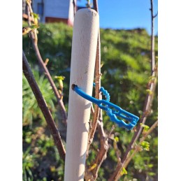 MEDINIS ATRAMAS JUOSTOS