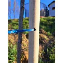 MEDINIS ATRAMAS JUOSTOS