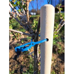 MEDINIS ATRAMAS JUOSTOS