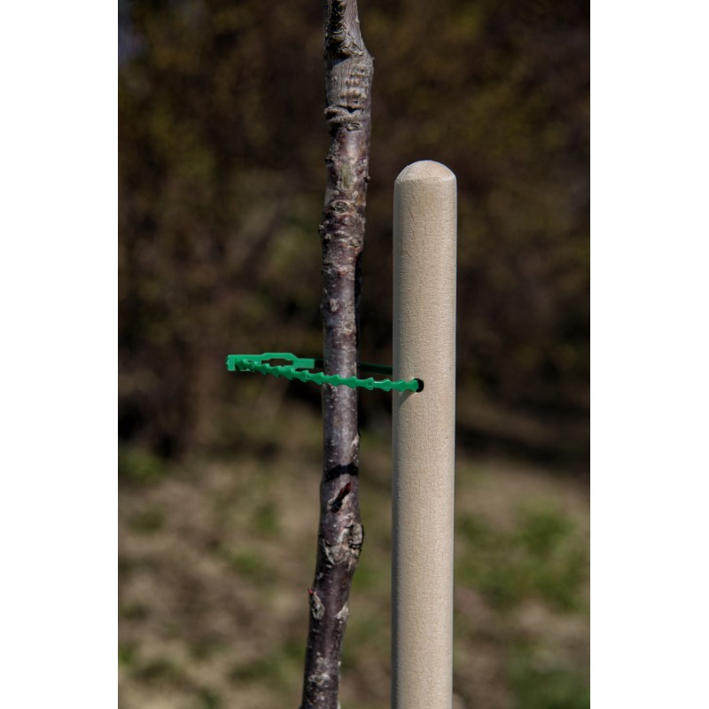 Atrama, pomidorų ir pipirų žiedų kuolas, 60 cm 22