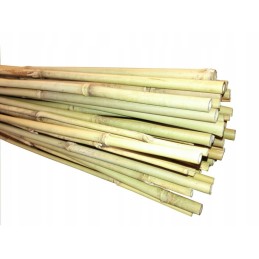 Žiurkėno bambuko lazdelė 120 cm x 14 mm 1 vnt.