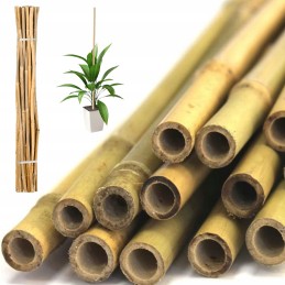 Žiurkėno bambuko lazdelė 120 cm x 14 mm 1 vnt.