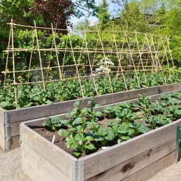 Žiurkėno bambuko lazdelė 120 cm x 14 mm 1 vnt.