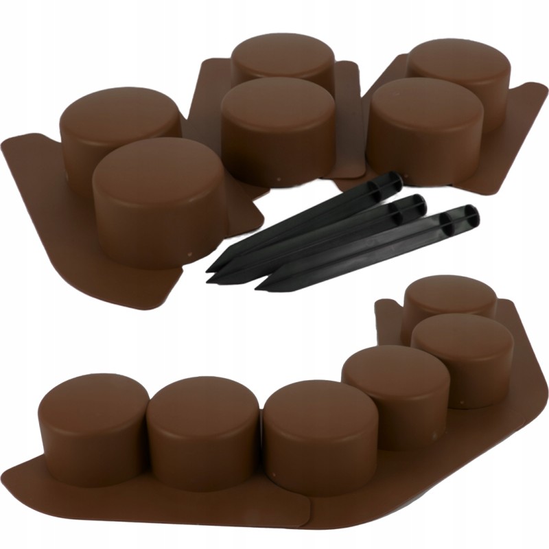 Robi palisade yra tamsiai rudos spalvos su rampa