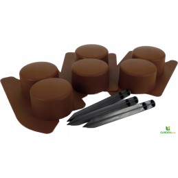 Robi palisade yra tamsiai rudos spalvos su rampa