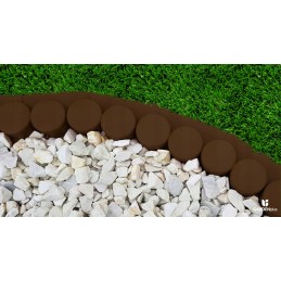 Robi palisade yra tamsiai rudos spalvos su rampa