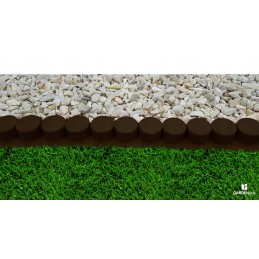 Robi palisade yra tamsiai rudos spalvos su rampa