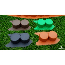 Robi palisade yra tamsiai rudos spalvos su rampa