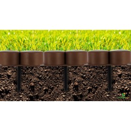 Robi palisade yra tamsiai rudos spalvos su rampa