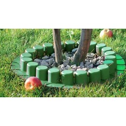 Robi palisade yra tamsiai rudos spalvos su rampa