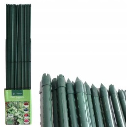 AUGALŲ ATRAMIMO POLAS, ŽALIA DANGA 11/90