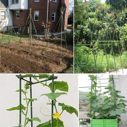 TOMATO PLANT STICK COATED SUPPORT 0.8x120cm