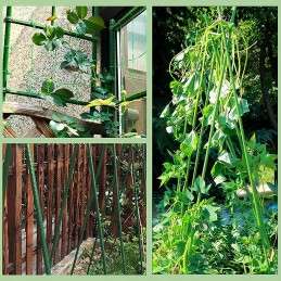 TOMATO PLANT STICK COATED SUPPORT 0.8x120cm