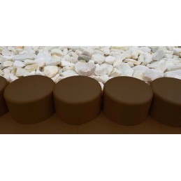 Robi palisade yra tamsiai rudos spalvos su rampa