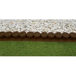 Robi palisade yra tamsiai rudos spalvos su rampa