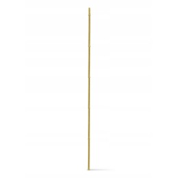 ATRAMAS AUGALAMS, atrama vijoklinėms gėlėms, 120,5 cm