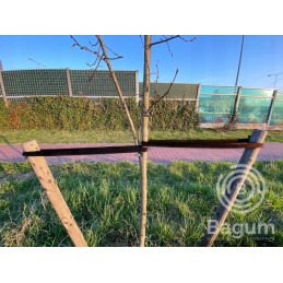 JUODOS JUODOS JUODOS MEDŽIAMS SURIŠTI IR STABILIAVIMUI 50mm x 1mb