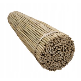TIN TOURS BAMBOO POLE 120cm 12-14MM 1 tk