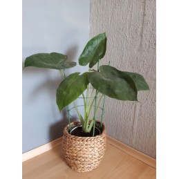 ŽIEDAS GĖLĖLĖMS 60cm 1Vnt. BRADAS SODO KOPĖČIAS