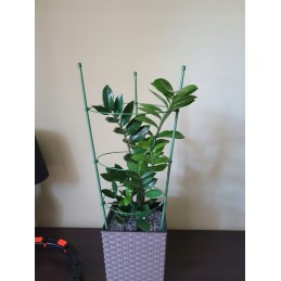 ŽIEDAS GĖLĖLĖMS 60cm 1Vnt. BRADAS SODO KOPĖČIAS