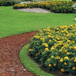 Sodo vejos apvadas 4,5 cm Bord Palisade