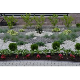 GARDEN LAWN EDGE eko palisado apvadas 58mm KIENA 5,8cm 1mb