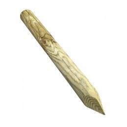 Mini palisade Stake Medinis palisade 6x50 cm smaigalys su vejos apvadu