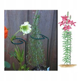 AUGALŲ ATRAMAS 90 cm