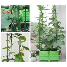 11 mm SUJUNGTINĖS POLIŲ JUNGTYS