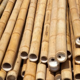 BioBamboo Stick bambuko lazdelė 30cm 16-22mm bambuko