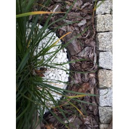 PLASTIKINIS VEJOS KRAŠTAS