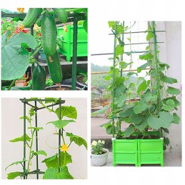 DENGTAS PLIENINIS STILAS AUGALŲ 120 cm