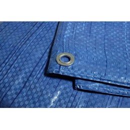 Brezentas 2x3 Mėlynas 55g Apsauginis ☘️