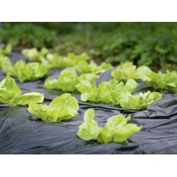 Apsauginė sodo folija 10 m x 1,5 m